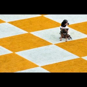 Meet your Posher, Tim